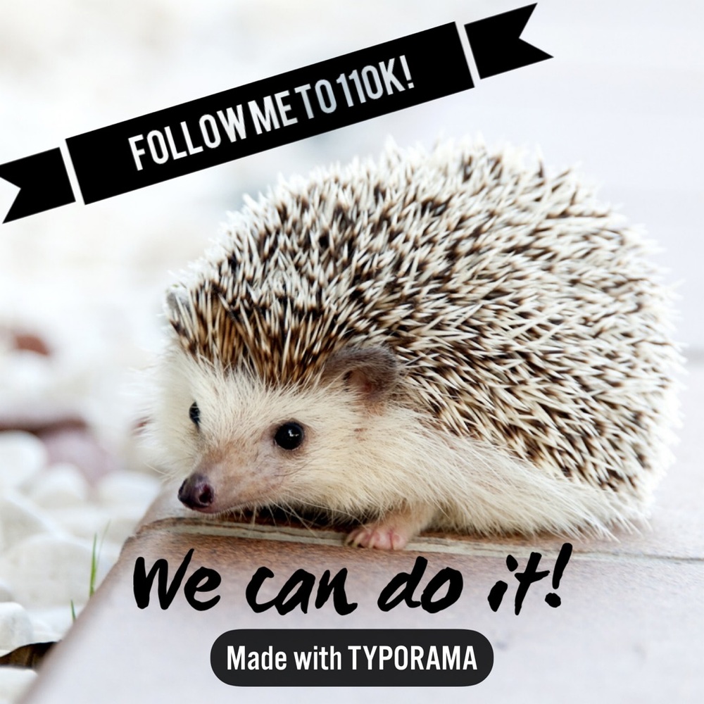 💜 Follow me to 250K! 💗 - Picture 9 of 12